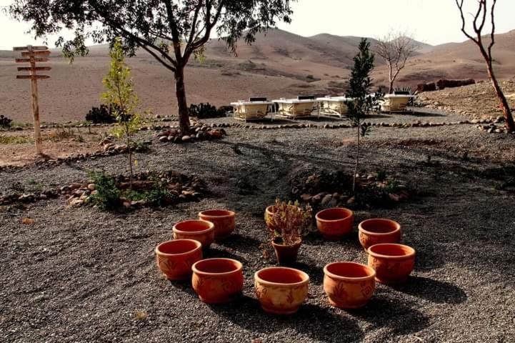 Ngayan Camp Hotel Taïzelt Kültér fotó