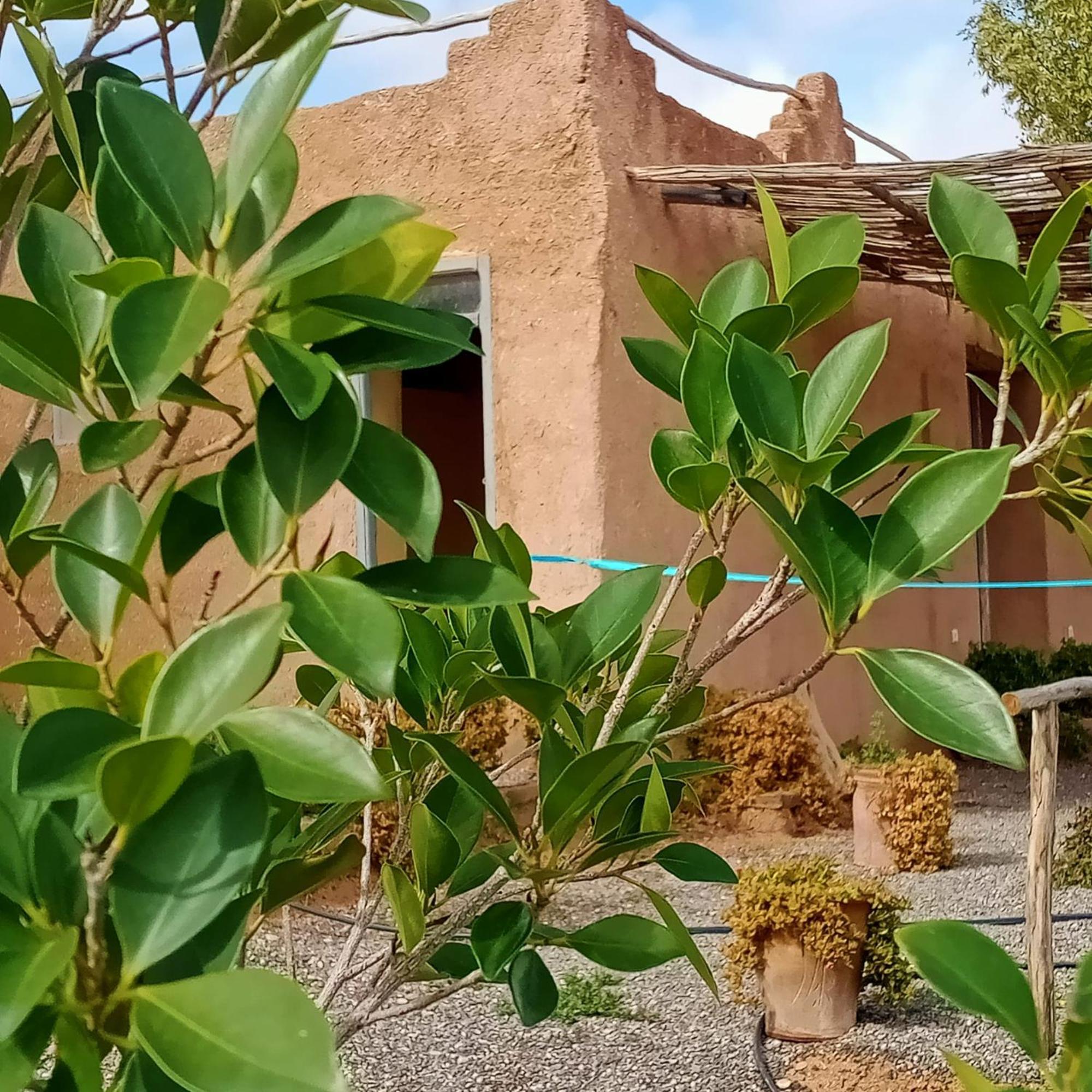 Ngayan Camp Hotel Taïzelt Kültér fotó
