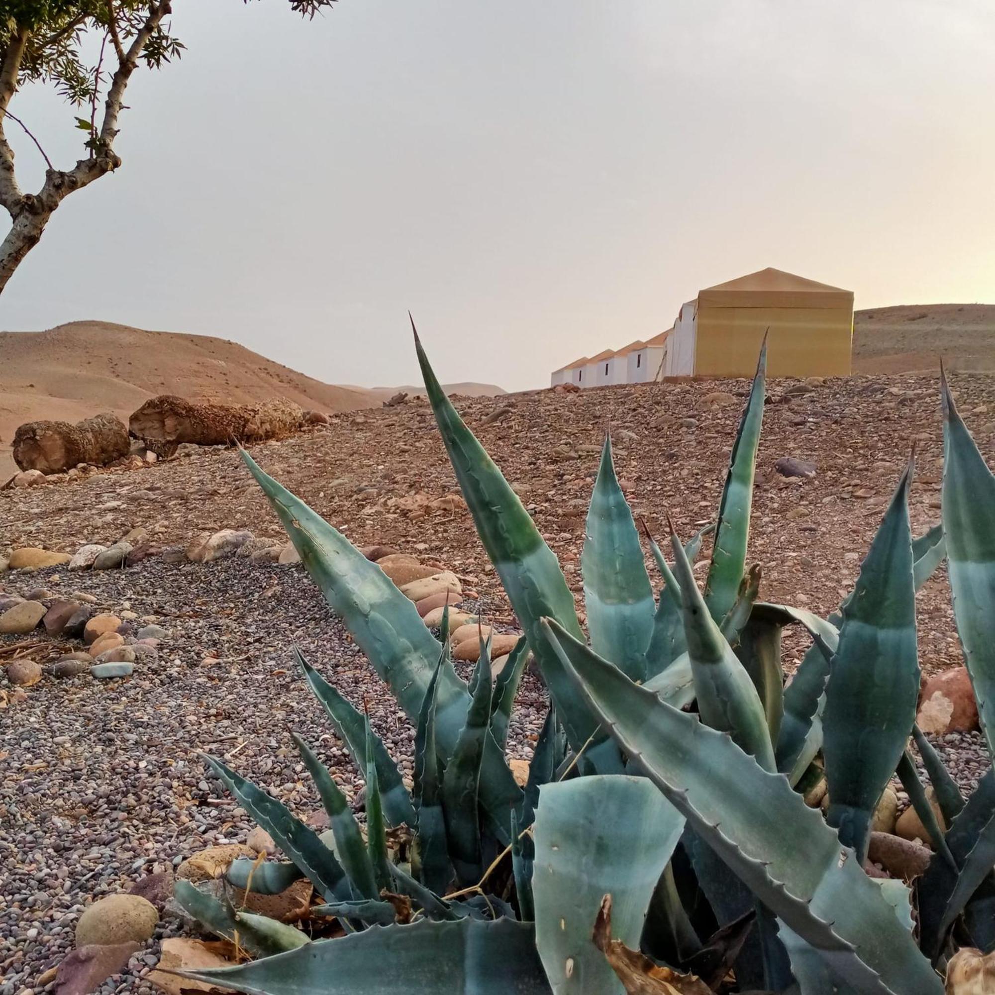 Ngayan Camp Hotel Taïzelt Kültér fotó